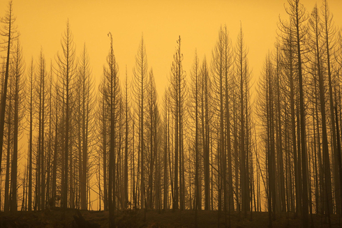 שריפות בקליפורניה, צילום: רויטרס
