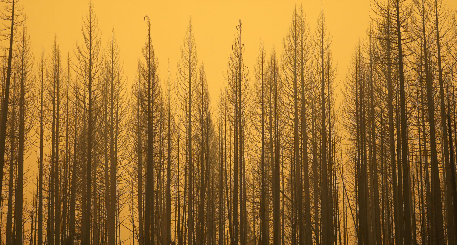 פוטו משבר האקלים שריפות קליפורניה