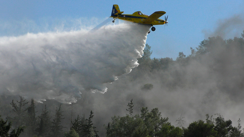 מטוס כיבוי ייעודי איירטרקטור 802 נלחם בשריפה בישראל, צילום: שאטרסטוק
