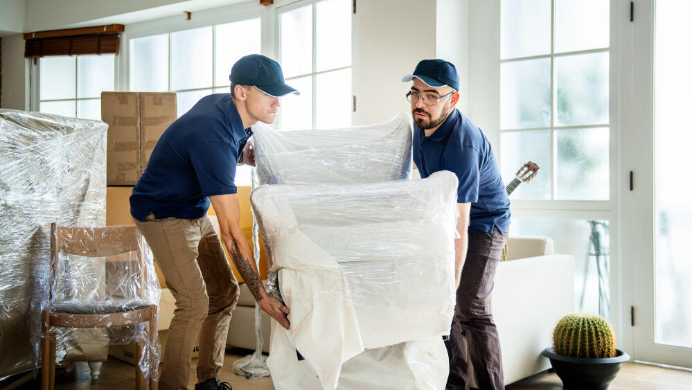 גורילה הובלות