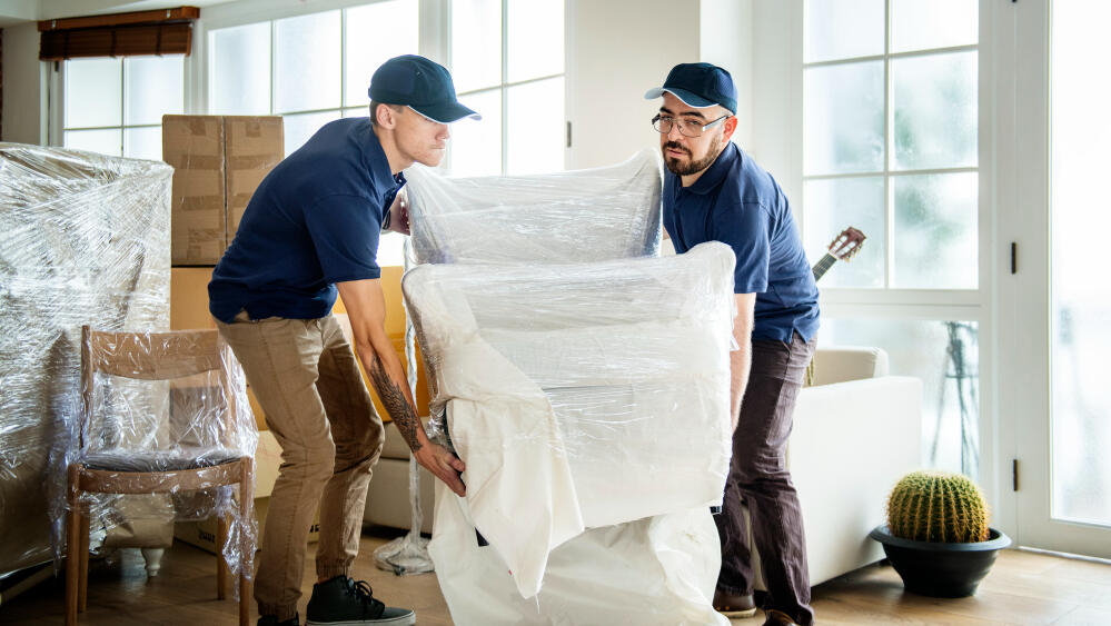 גורילה הובלות