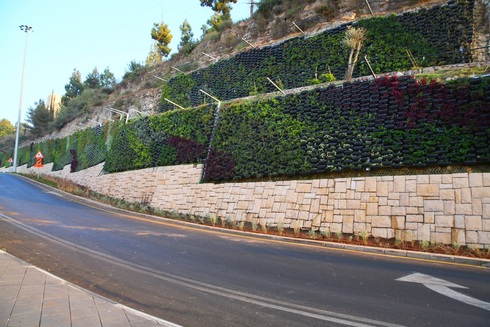הקיר הפורח, ארנון בוסאני באדיבות חברת מוריה