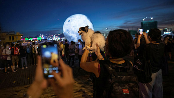 אישה עם כלב פסטיבל אמצע הסתיו הונג קונג סין