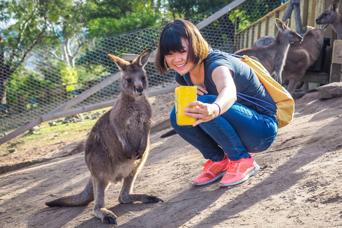 תיירת באוסטרליה מצטלמת עם קנגרו , צילום: שאטרסטוק