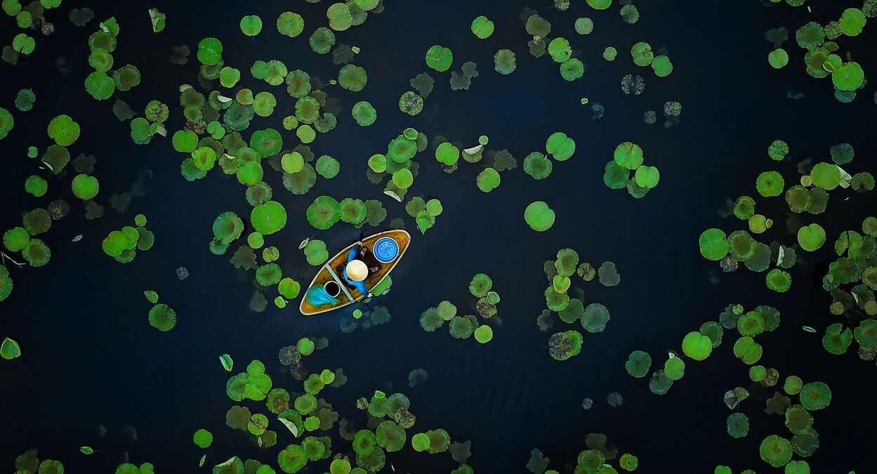פוטו תחרות צילומי טבע The Nature Conservancy קאנו במים ויאטנם 