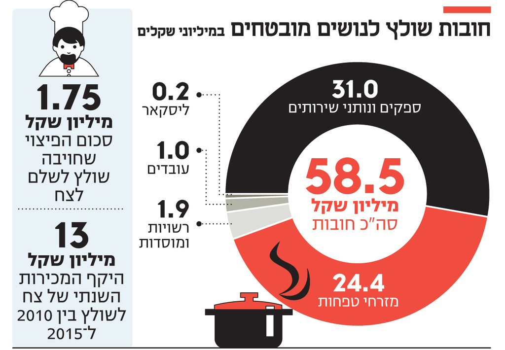 אינפו חובות שולץ לנושים מובטחים