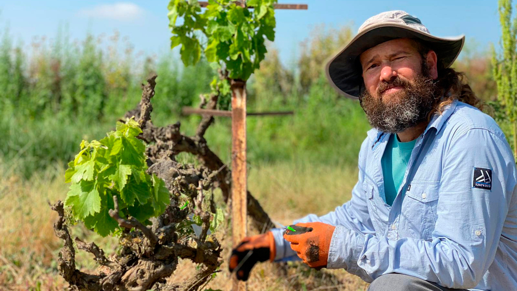לתת לטבע לעבוד: הישראלי הראשון שמכין יין טבעי