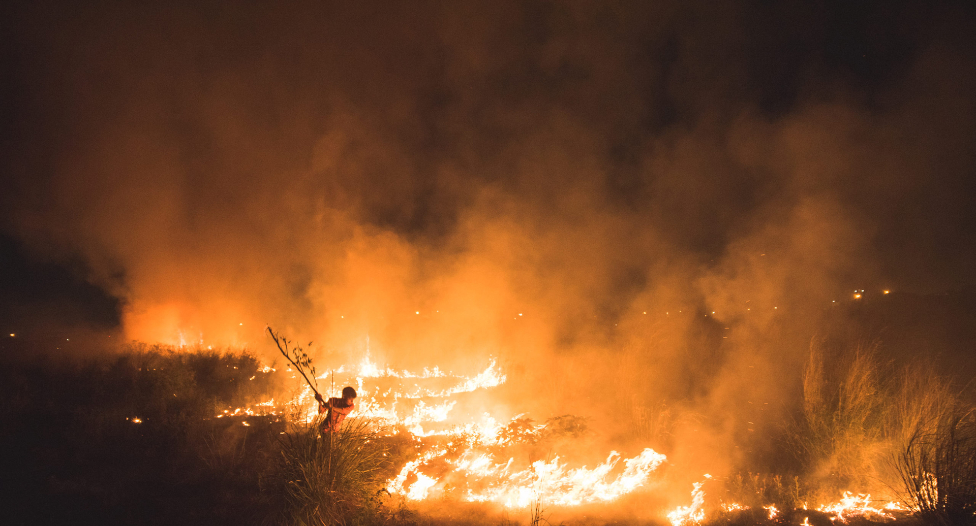 פוטו תמונות הסביבה של 2021 שריפה ניו דלהי הודו