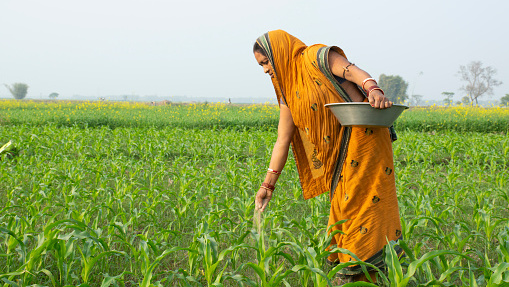 הודו חקלאים חקלאות