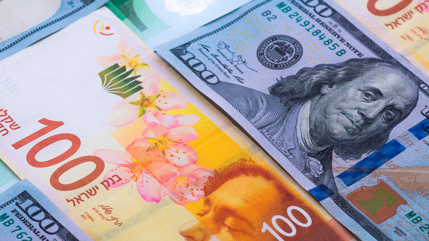 שקל דולר יורו מטבע מטבעות מט"ח 