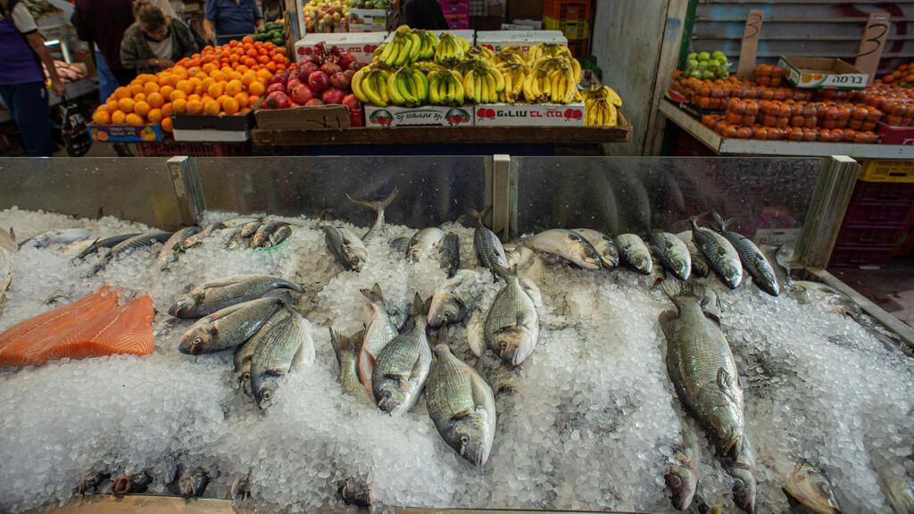 יבואנית הדגים צ&#39;ירינה מבקשת עיכוב הליכים עם חוב של 81 מיליון שקל