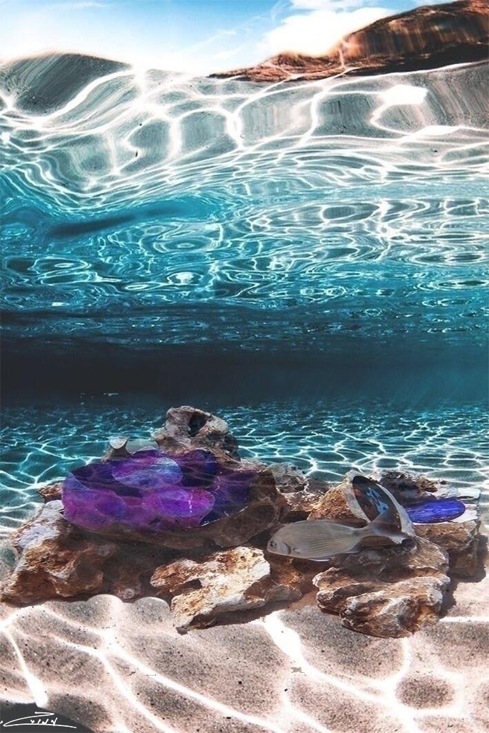 עמוס גזית - צילום מתוך המים, יח"צ
