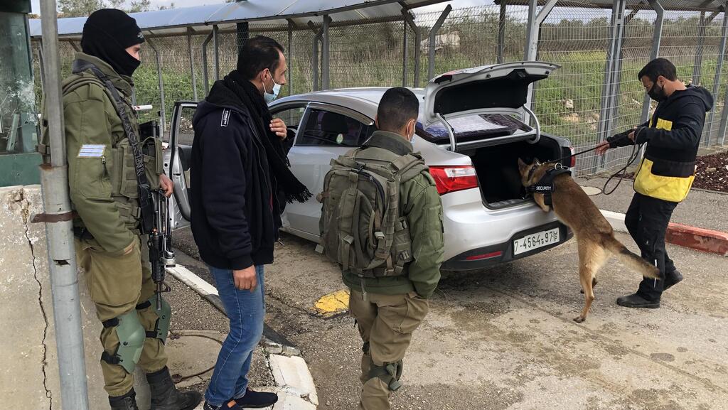 כלב חיפוש מחסומים, צילום:פיליפ מוריס בע"מ