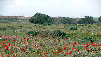 אזור עוטף עזה