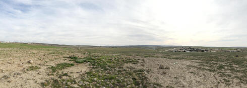 חברת כיל מתכננת לכרות פוספטים בשדה בריר שסמוך לערד, צילום: אדם קפלן