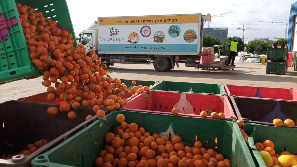 37% מהאוכל בישראל נזרק, חצי ממנו ראוי למאכל