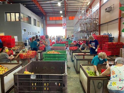מתנדבים לאריזת מזון לנזקקים, לקט ישראל