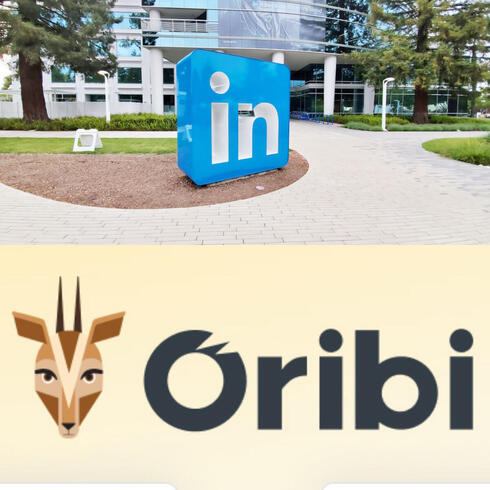 LinkedIn and Oribi. Photo: AP