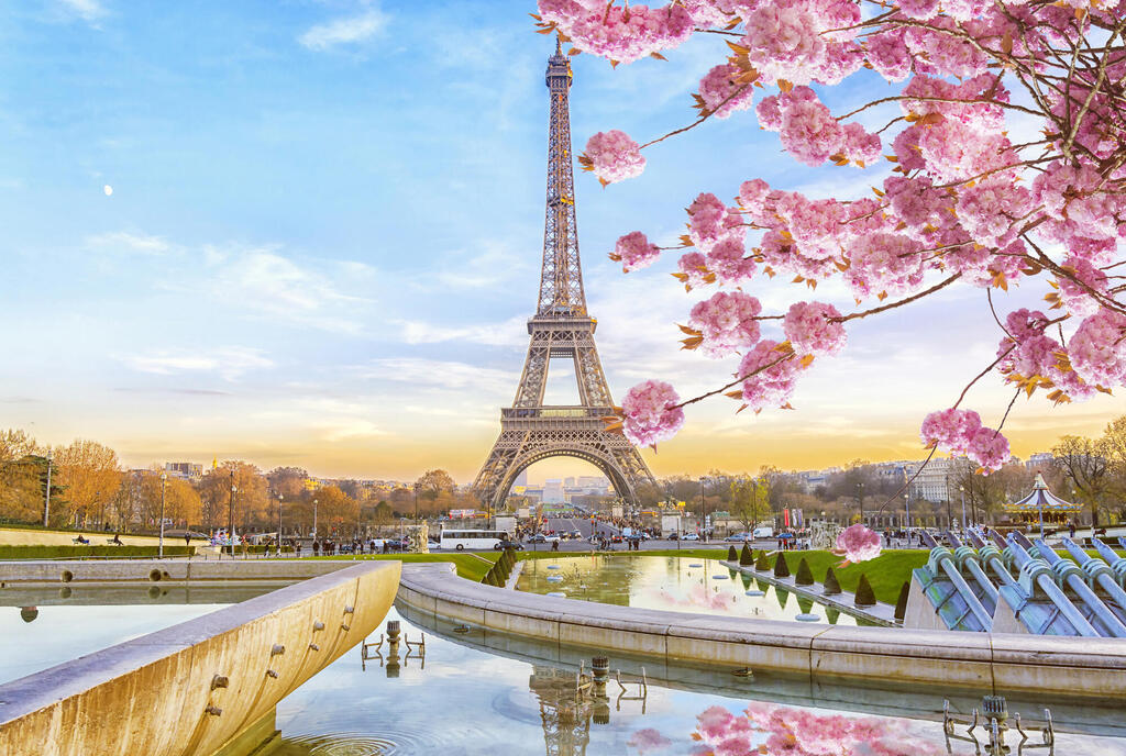 פוטו פריחות אביב פריז