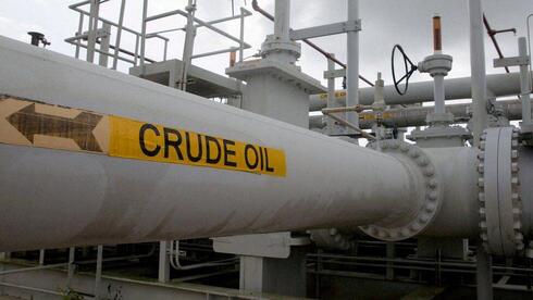 נפט גולמי, צילום: רויטרס