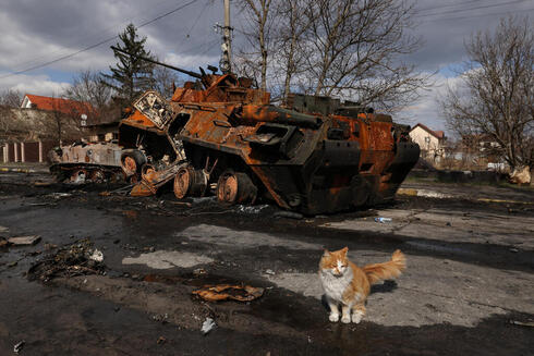 "הם חטפו התנגדות טוטלית של העם האוקראיני". חתול ליד טנק שרוף בבוצ
