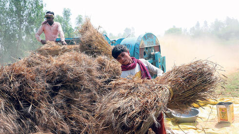 מחירי המזון העולמיים בשיא של חצי שנה - באו"ם מזהירים מעלייה נוספת אם המלחמה תימשך