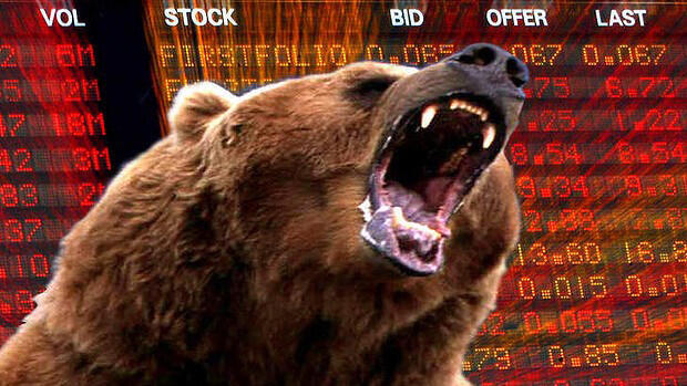 מי מפחד מהדוב: S&amp;P 500 נפל לשוק דובי, מה זה אומר?