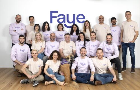 Faye team 