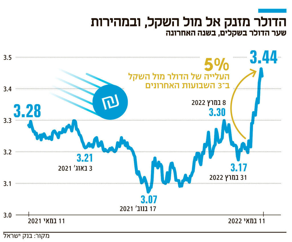 אינפו הדולר מזנק אל מול השקל חדש