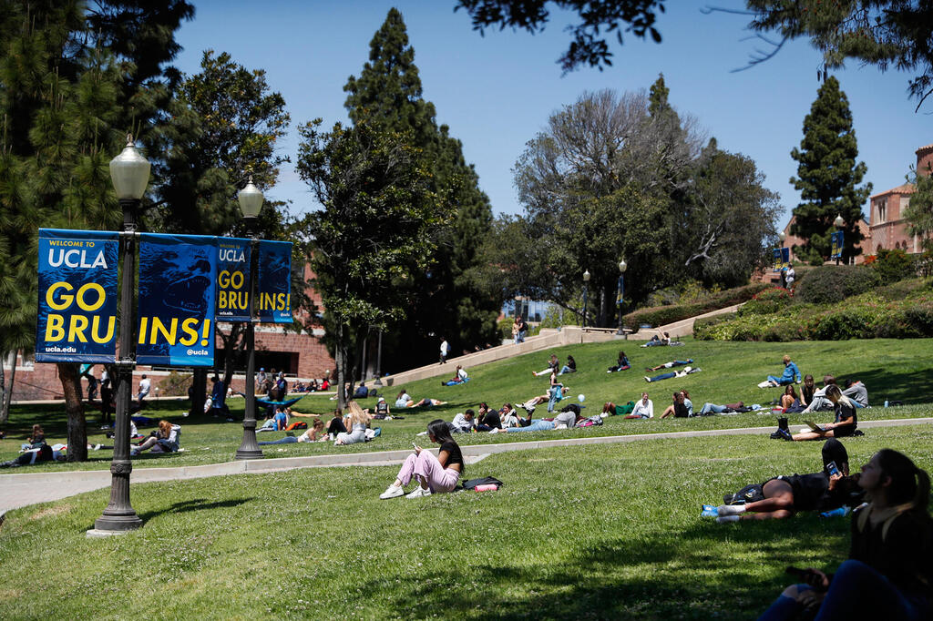 סטודנטים על הדשא בקמפוס של אוניברסיטת קליפורניה לוס אנג'לס