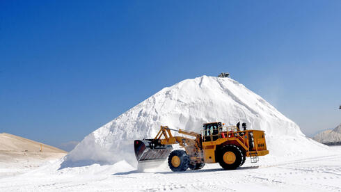 צילום: חיים הורנשטיין עליית מחיר האשלג תרמה להכנסות ICL; החברה ביטלה תוכניות להקמת מפעלים חדשים