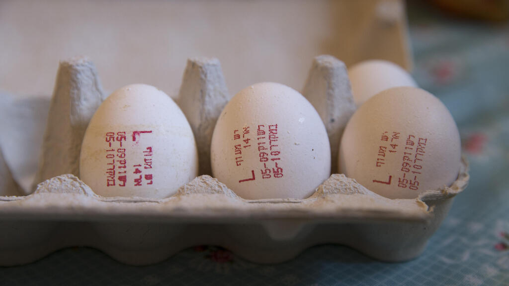 בגלל מחסור בשוק: אושר ייבוא של 10 מיליון ביצים