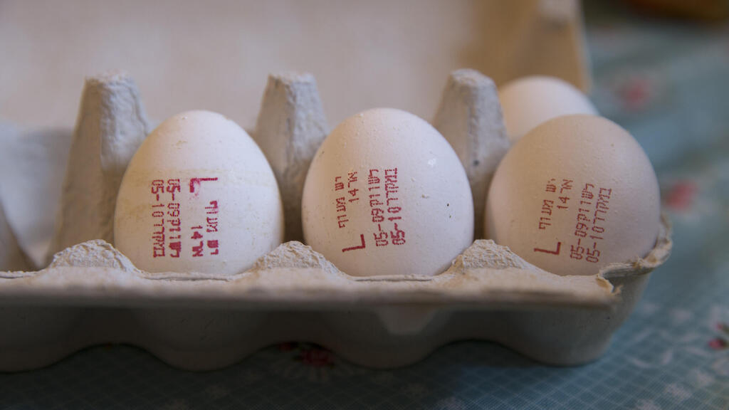 מחיר הביצים יעלה (צילום: עמית שאבי) ביצים