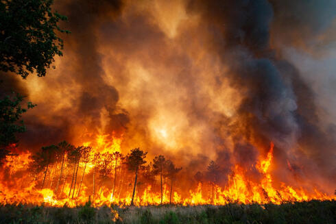 שריפה בדום מערב צרפת, צילום: Reuters /SDIS 33