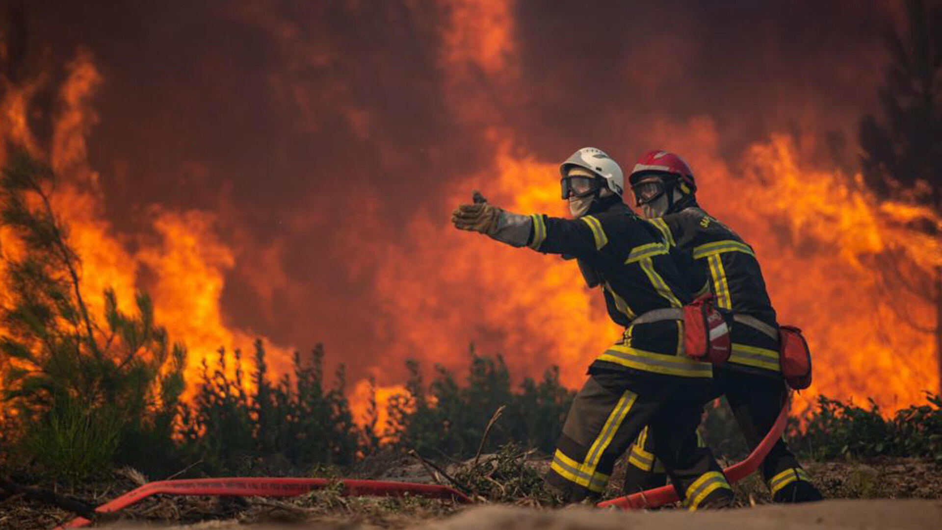 שרפה שריפות יער בדרום־מערב צרפת