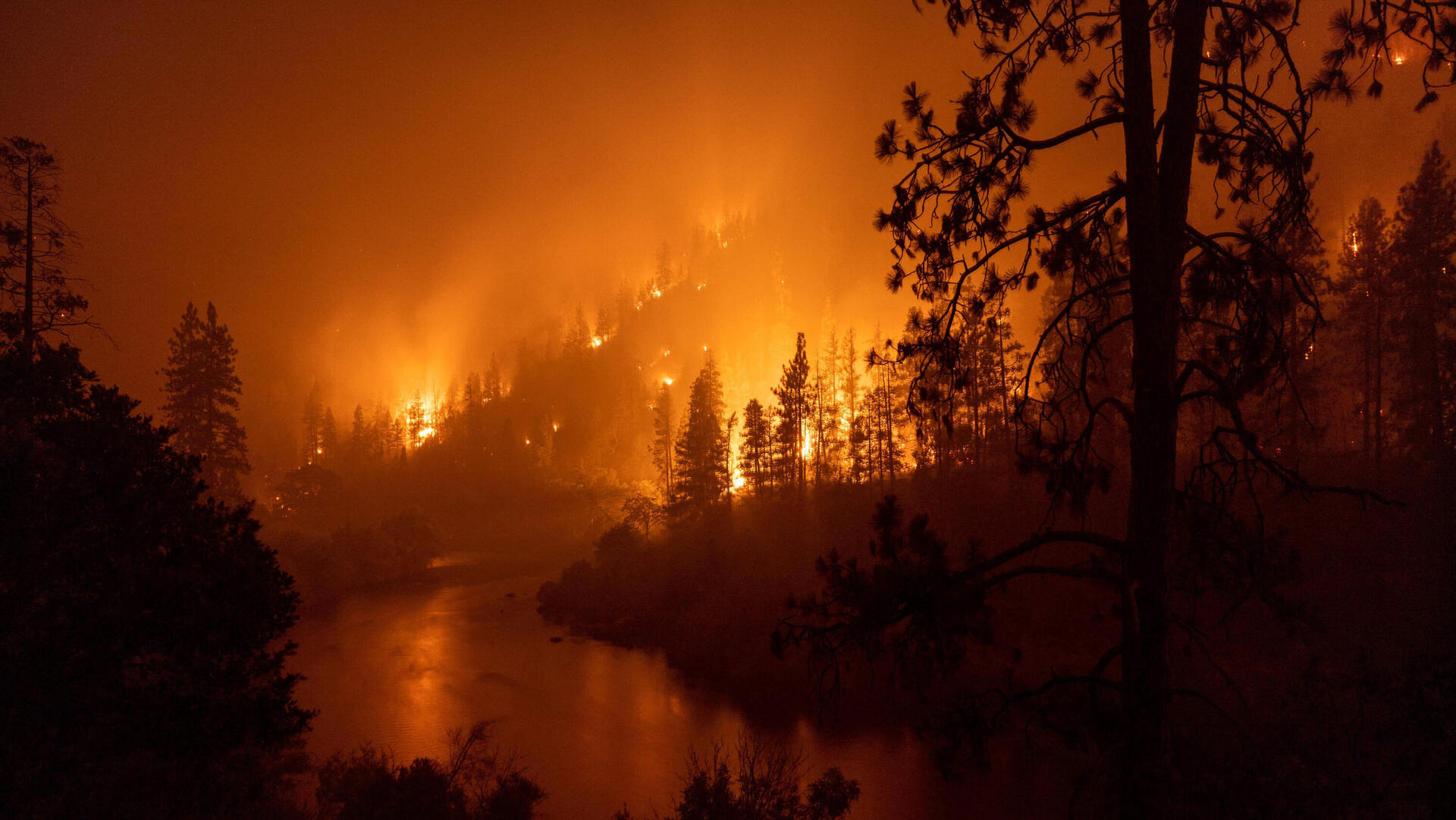 שריפות ליד ירקא צפון קליפורניה
