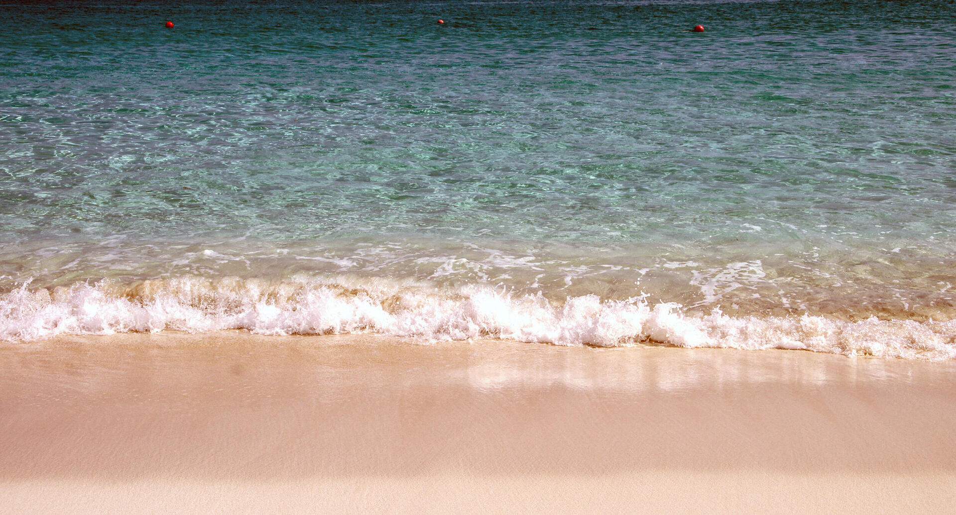 פוטו חופים עם חול צבעוני בהאמאס Pink sand beach