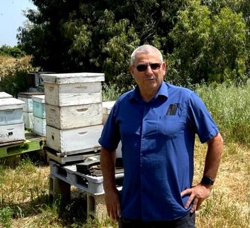 אופי רייך מנכ"ל מועצת הדבש, מועצת הדבש