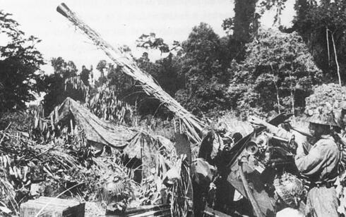 הידעת? במלחמת ווייטנאם אבדו בקרב 382 פאנטומים - רובם המכריע מאש תותחים כמו זה, צילום: baochinhphu