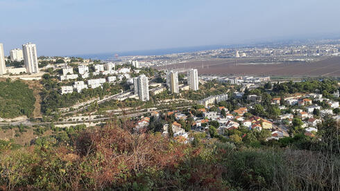 בכמה נמכרה דירת 3 חדרים בנשר?