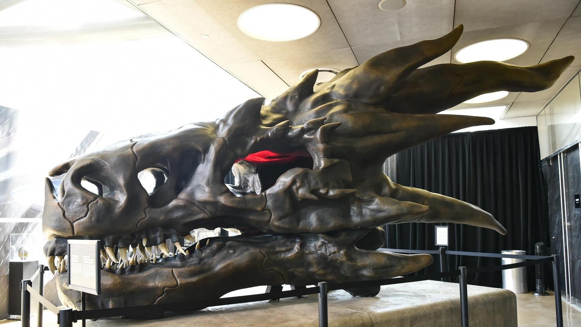גולגולת של דרקון במוזיאון ההיסטוריה של לוס אנג'לס לקראת סדרת HBO מקס בית הדרקון