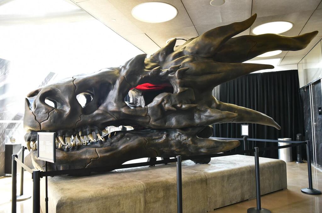 גולגולת של דרקון במוזיאון ההיסטוריה של לוס אנג'לס לקראת סדרת HBO מקס בית הדרקון
