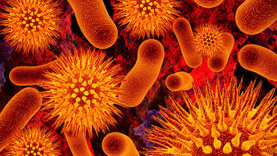 Bacteria. BiomX's specialization Bacteria. BiomX's specialization