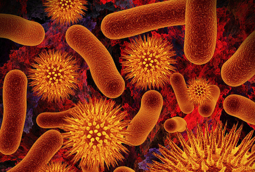 וירוס וירוסים חיידק חיידקים בקטריות