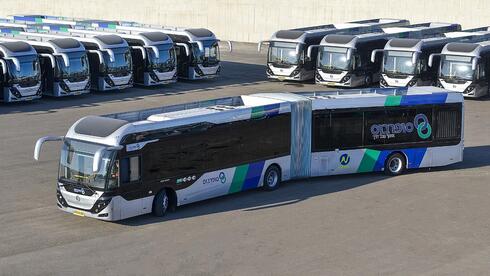 צילום: בן ניקסון השביתה בוטלה: חברת אוטובוסים ראשונה הגיעה למתווה פיצוי לנהגים עבור עם כלביא