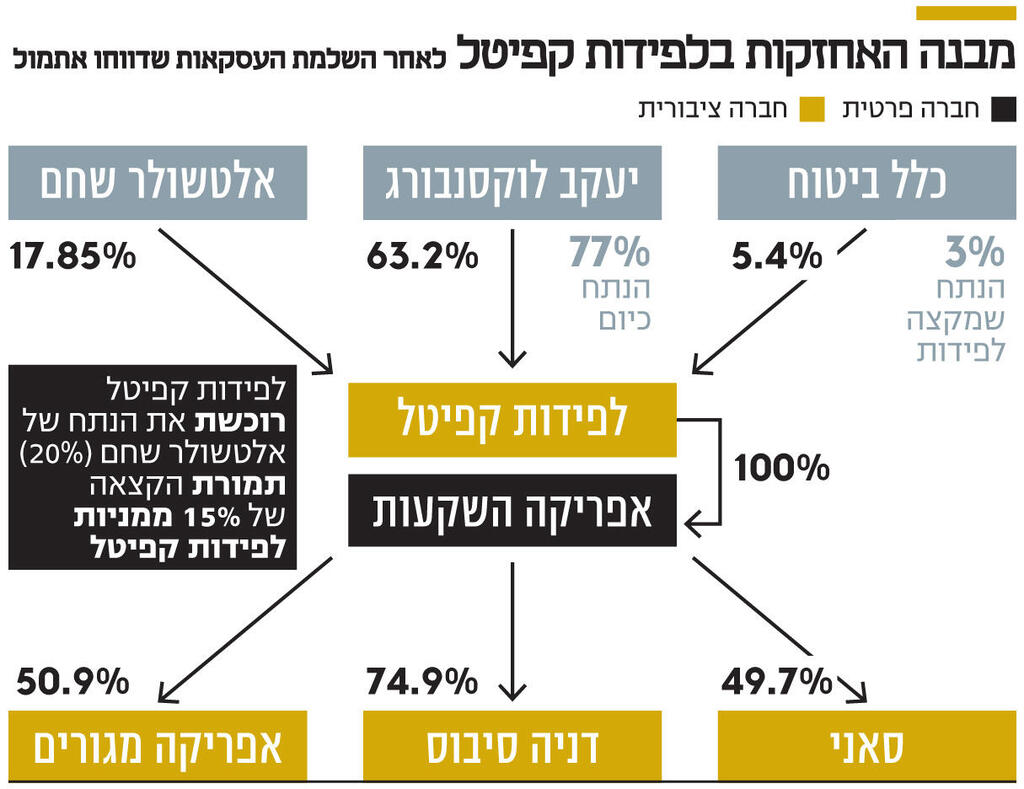 אינפו מבנה האחזקות בלפידות קפיטל