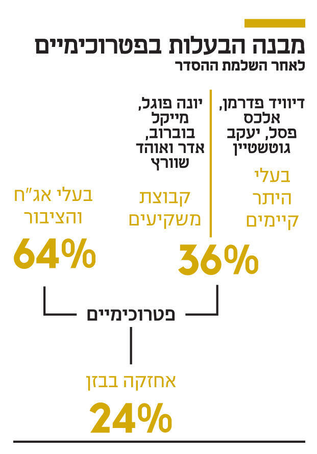 אינפו מבנה הבעלות בפטרוכימיים