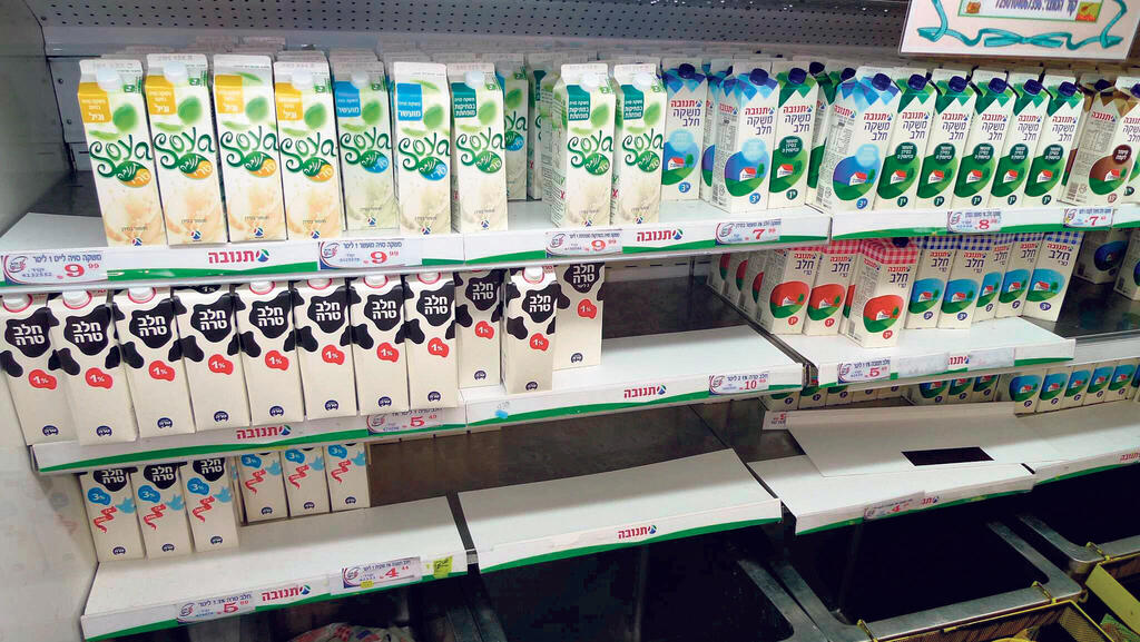 העתירה נדחתה: בית המשפט העליון נותן אור ירוק ליבוא חלב ניגר
