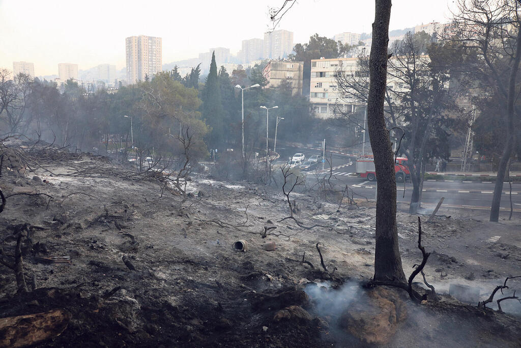 חיפה שריפה ב כרמל ב 2016