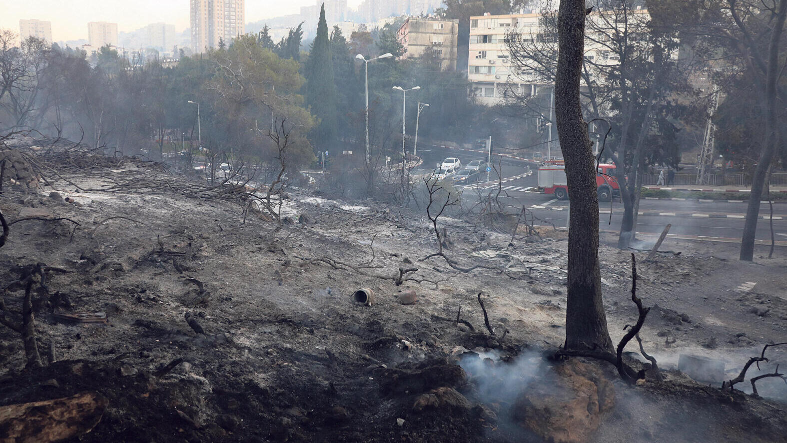 חיפה שריפה ב כרמל ב 2016
